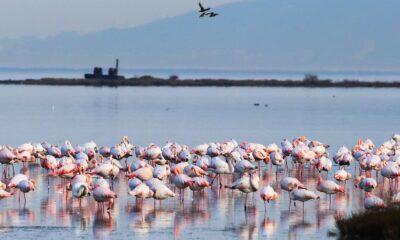 HERSEK LAGÜNÜNDE GÖRSEL ŞÖLEN