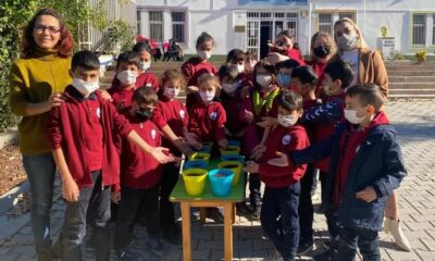 SAFRANLI TEMA’LAR PALAMUT ÇİMLENDİRDİ