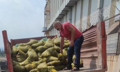 KAÇAK MİDYELER DENİZE İADE EDİLDİ