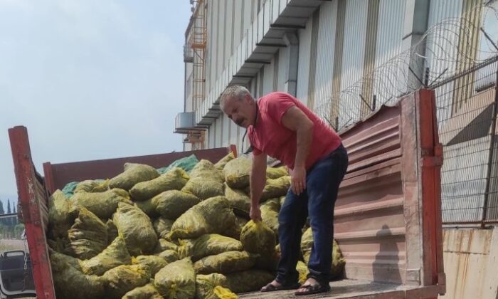 KAÇAK MİDYELER DENİZE İADE EDİLDİ