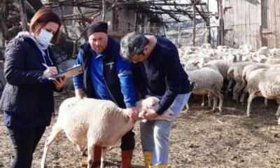 TESPİT ÇALIŞMALARI BAŞLADI