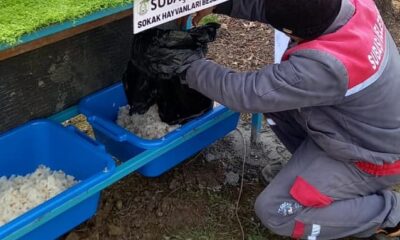 SUBAŞINDA BESLEME NOKTALARI OLUŞTURULDU