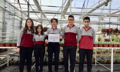 ‘DAMLAYA DAMLAYA HAYAT OLUR’