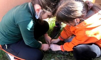 ÇINARCIK TEMA, UMUT YEŞERTİYOR