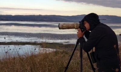 ‘KUŞ HAFİYESİ’ YABAN HAYATA IŞIK TUTUYOR