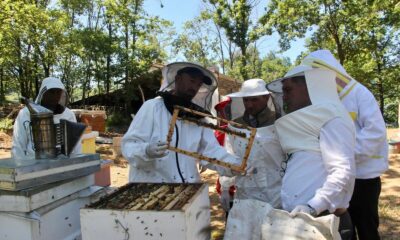 ARICILARIN SORUNLARI DİNLENDİ