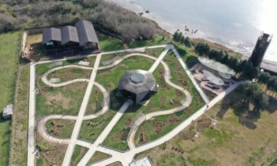 ENGELSİZ KUŞ GÖZLEM KULESİNE ZİYARETÇİ AKINI