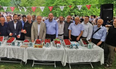 ÇİLEK TADINDA FESTİVAL