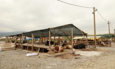 KURBAN PAZARI ARTIK KAZIMİYE KÖYÜNDE