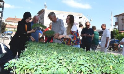 ATA TOHUMLARI, TOPRAKLA BULUŞUYOR
