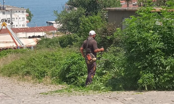 İLÇE GENELİNDE YABANİ OTLAR TEMİZLENİYOR