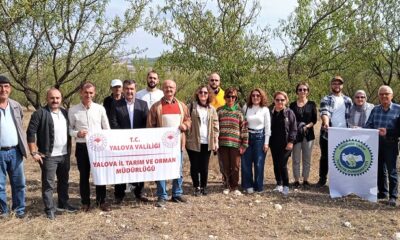 YALOVALI ÇİFTÇİLERE TEKNİK GEZİ DÜZENLENDİ